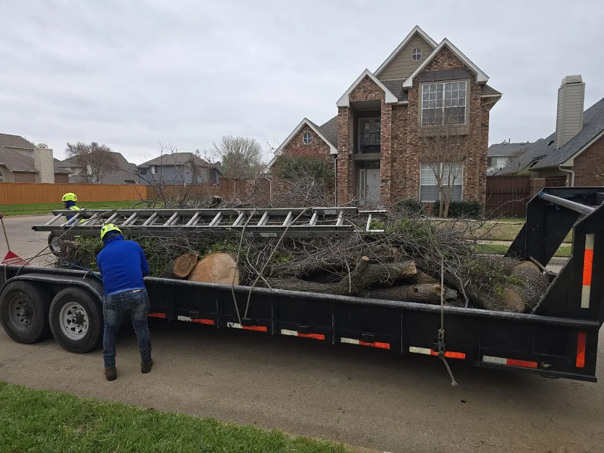 Expert Lot Clearing with proper safety equipment in Ripplemead